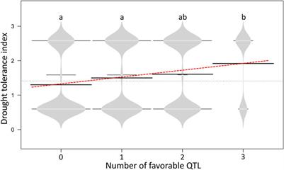 Genome-wide genetic architecture for plant maturity and drought tolerance in diploid potatoes